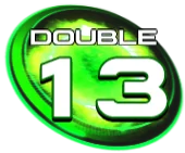 D13