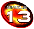 S13