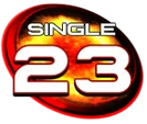 S23